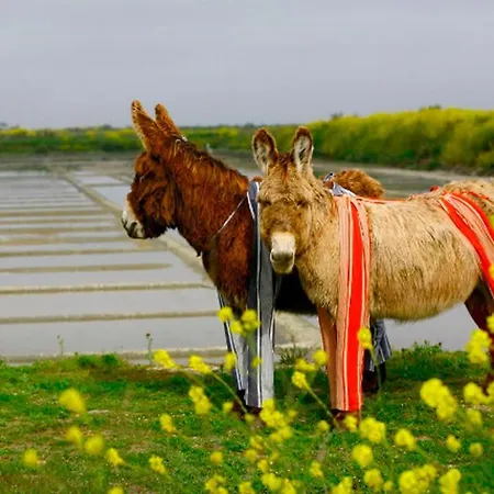 Holiday home Del Re 9 Dans Avec Piscine