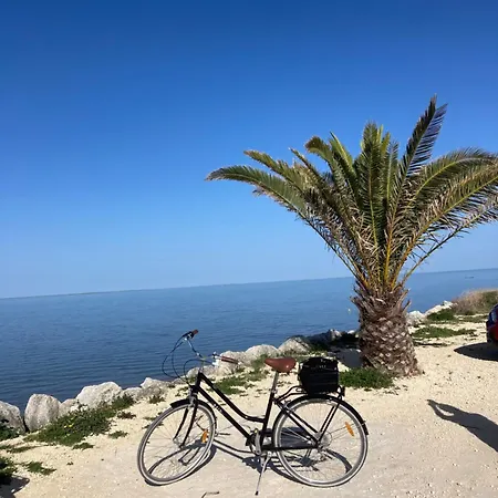 Del Re 9 Dans Avec Piscine