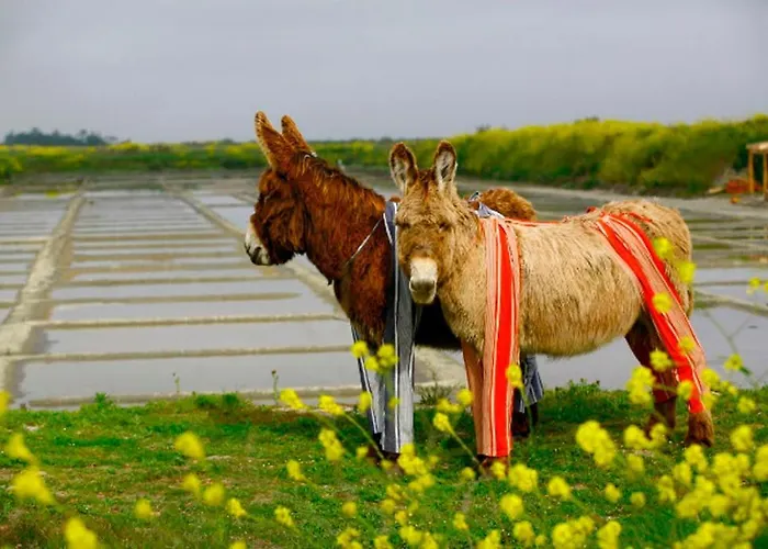 Сasa de vacaciones Del Re 9 Dans Avec Piscine